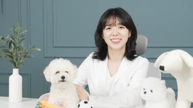 슬기로운 보호자 생활: 반려견과 행복하고 안전하게 생활하기