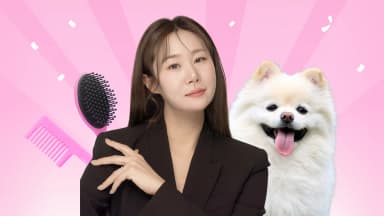 강아지와 더 가까워지는 우리 강아지 셀프 미용!