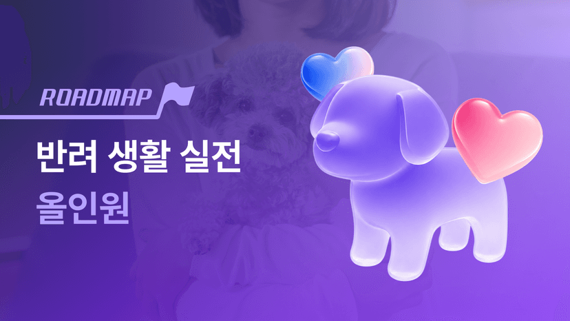 초보 보호자를 위한 반려 생활 실전 올인원